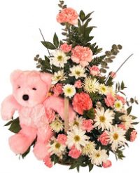Baby Pink Maternity Flowers